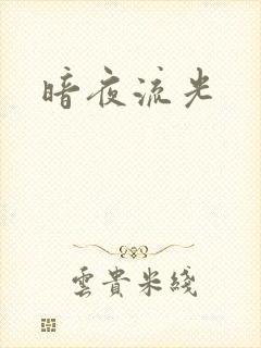 暗夜流光
