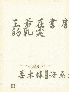 王爷在书房含她的乳尖