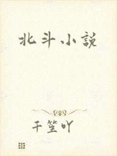 北斗小说