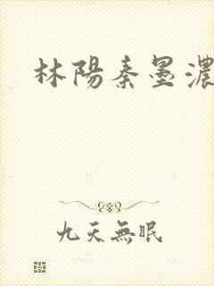 林阳秦墨浓度封面