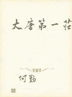 大唐第一庄