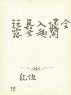 玩具入侵金银花露笔趣阁