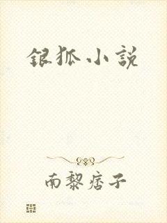 银狐小说