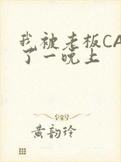 我被老板CAO了一晚上