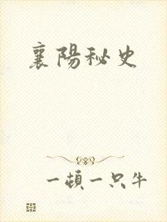 襄阳秘史