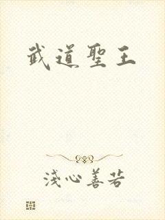 武道圣王