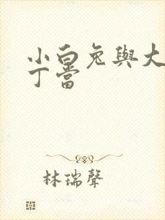 小白兔与大灰狼丁当