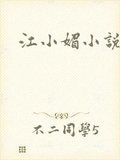 江小媚小说封面