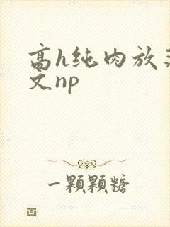高h纯肉放荡h文np