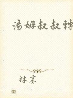 汤姆叔叔转接口