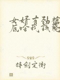 女婿有劲枪枪到底啥我钱飞了封面