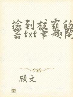 捡到校霸的遥控器txt笔趣阁