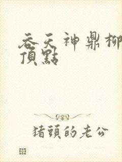 吞天神鼎柳无邪顶点封面