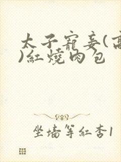 太子宠妾(高肉)红烧肉包封面