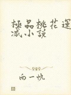 极品桃花运未删减小说