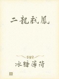 二龙戏凤