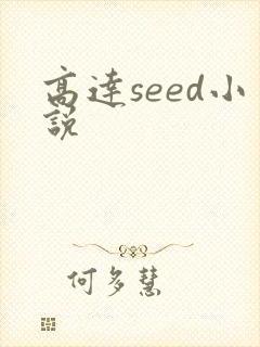 高达seed小说