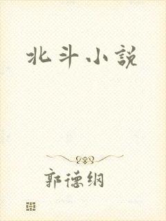 北斗小说