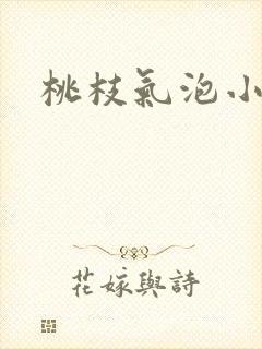 桃枝气泡小说封面