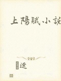 上阳赋小说封面