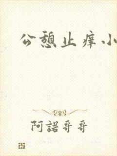 公憩止痒小说封面