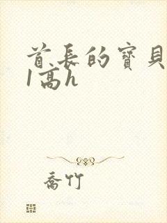 首长的宝贝1v1高h