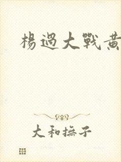 杨过大战黄蓉封面