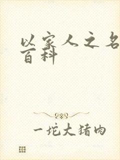 以家人之名百度百科