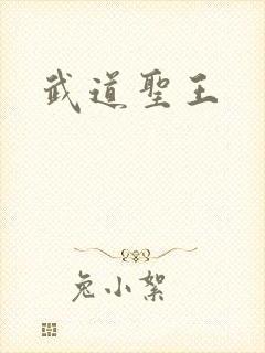 武道圣王