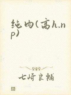 纯肉(高h.np)封面