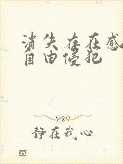 消失存在感消失自由侵犯