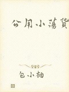 公用小荡货芊芊封面