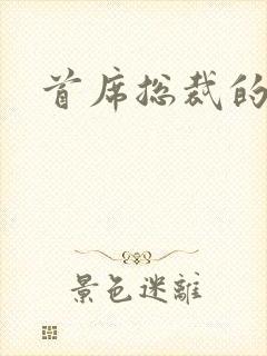 首席总裁的逃妻