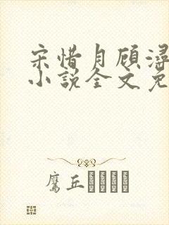 宋惜月顾浔渊的小说全文免费阅读封面