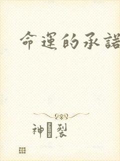 命运的承诺