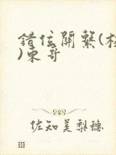 错位关系(校园)东哥