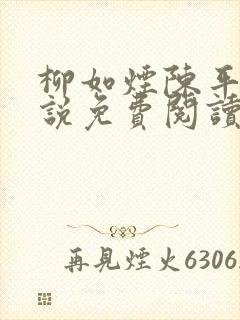 柳如烟陈平安小说免费阅读全文