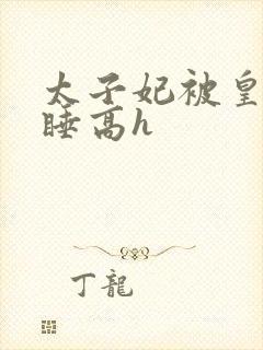 太子妃被皇上强睡高h