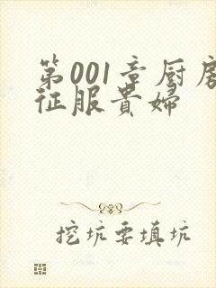 第001章厨房征服贵妇封面