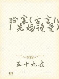 盼寡(古言1v1 先婚后爱)