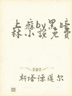 上瘾by黑暗森林小说免费