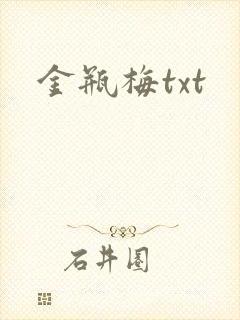 金瓶梅txt
