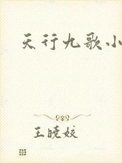 天行九歌小说