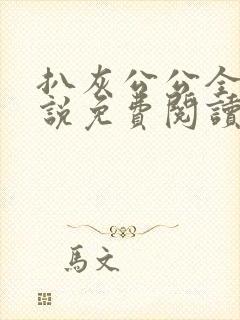 扒灰公公全部小说免费阅读全文封面