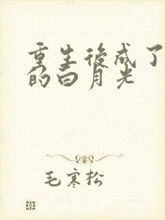 重生后成了皇帝的白月光