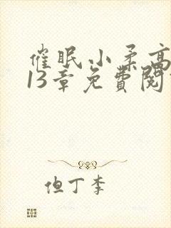 催眠小柔高达第13章免费阅读