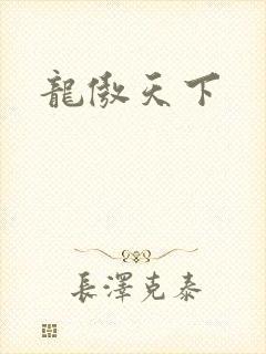 龙傲天下封面