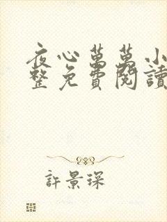 夜心万万小说完整免费阅读全文封面