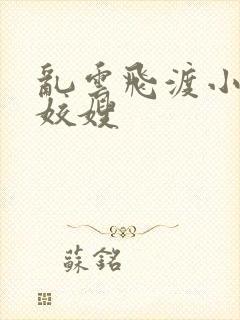 乱云飞渡小说之姣嫂