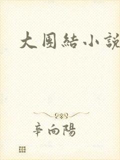 大团结小说全文封面